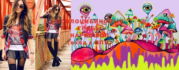 PSILOCYBIN Лихославль